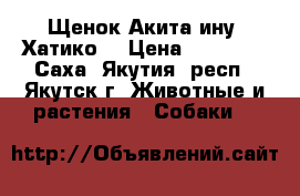 Щенок Акита-ину (Хатико) › Цена ­ 60 000 - Саха (Якутия) респ., Якутск г. Животные и растения » Собаки   